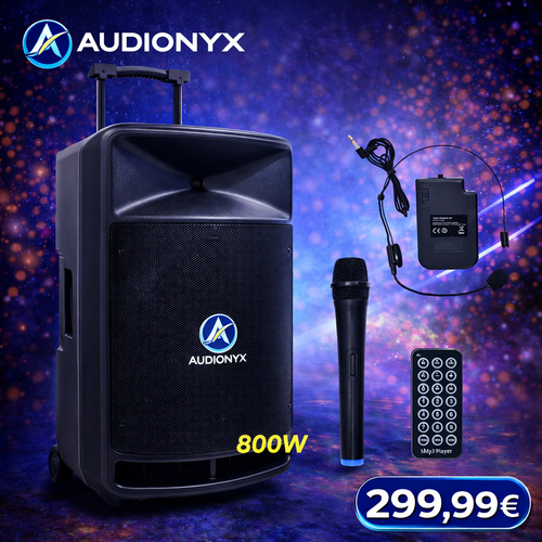 AUDIONYX DJ - PORTABLE15X - 15" 800W PRIJENOSNI ZVUČNIK - RADIO/BLUETOOTH/USB/AUX/SD